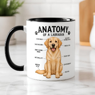 Caneca Diagrama Divertido da Anatomia do Labrador Retriev