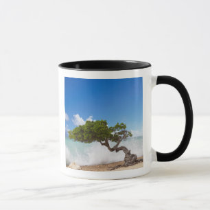 Caneca Divi Divi Tree, Eagle Beach, Aruba, Caribe