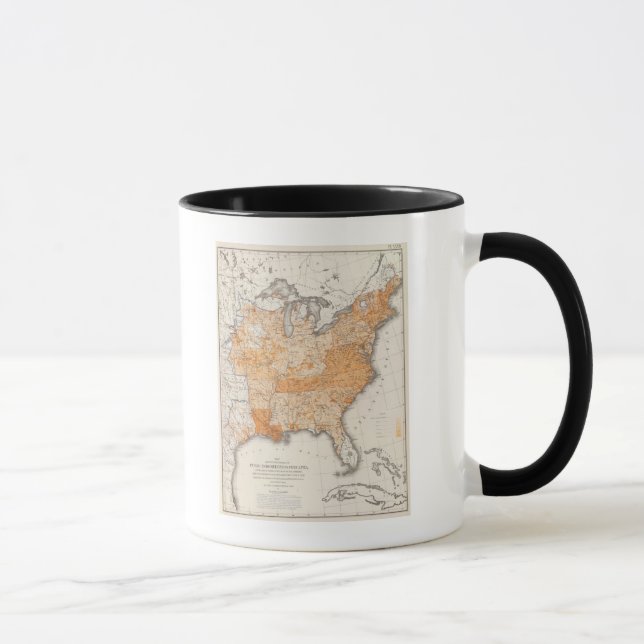 Caneca Dívida Pública, Literatura Estatística Dos EUA (Direita)