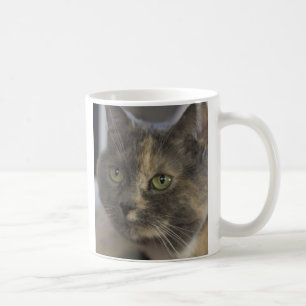 Caneca do amor do gato