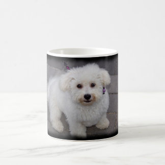 caneca do bichon