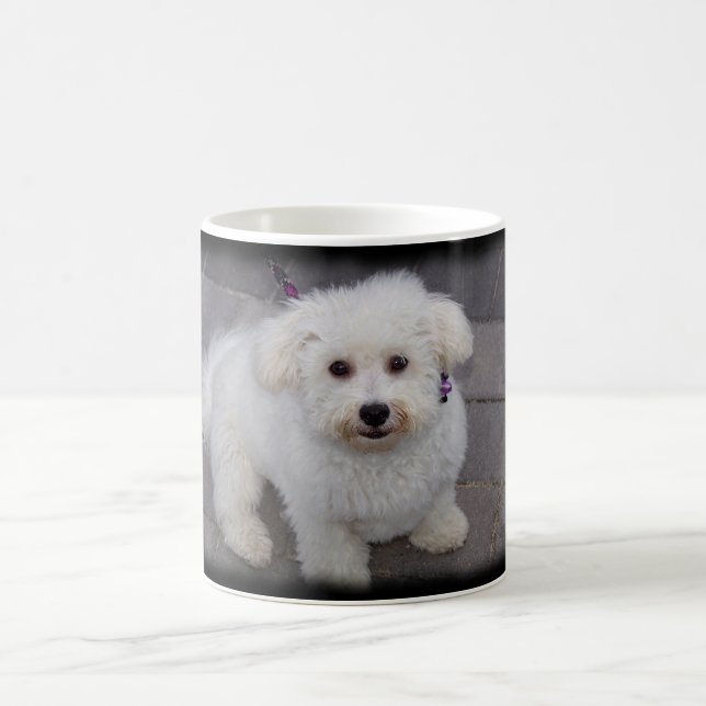caneca do bichon (Centro)