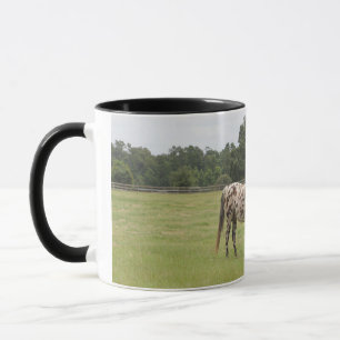 Caneca do cavalo