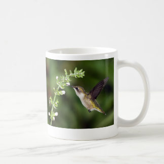 Caneca do colibri 10