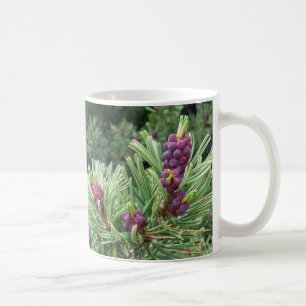 Caneca do cone do pinho de Whitebark