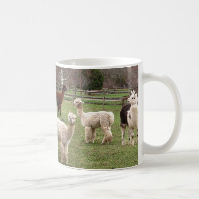 Caneca do ~ do fio de mescla da alpaca (Direita)