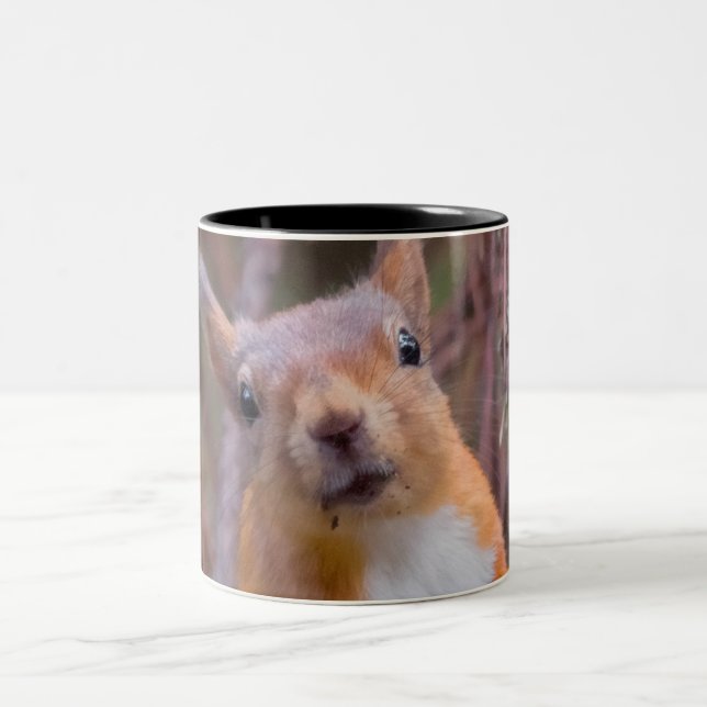 Caneca do esquilo (Centro)