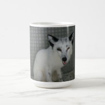 Caneca do Fox - embaixador Sophia