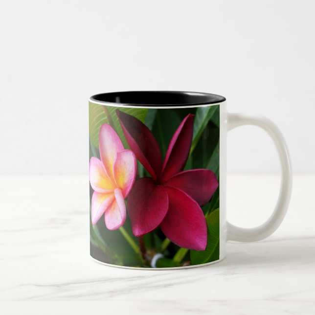 Caneca do Frangipani: Por do sol de Darwin & (Direita)