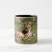Caneca do gato do Serval