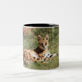 Caneca do gato do Serval