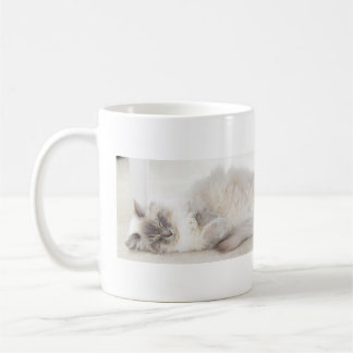 Caneca do gato do sono Ragdoll