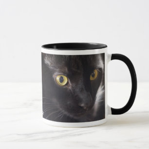 Caneca do gato preto
