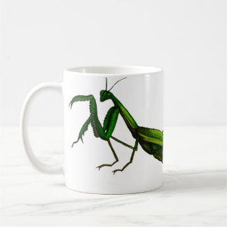Caneca do inseto, verde da louva-a-deus Praying