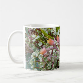Caneca do jardim do Succulent
