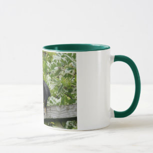 Caneca do melro