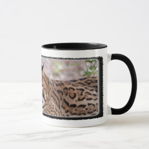 CANECA do Ocelot 01