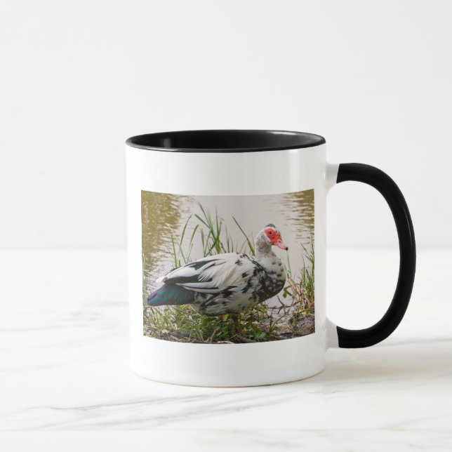 Caneca do pato de Muscovy (Direita)