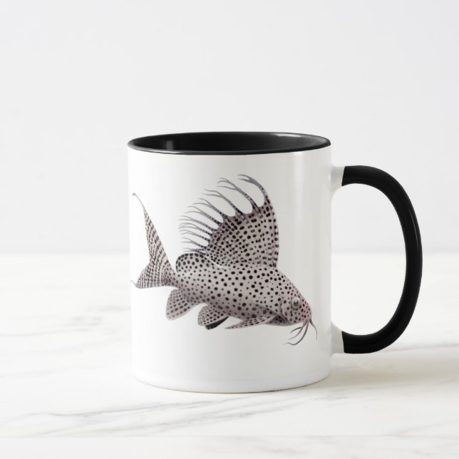 Caneca do peixe-gato do eupterus de Synodontis (Direita)