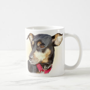 Caneca do Pinscher diminuto