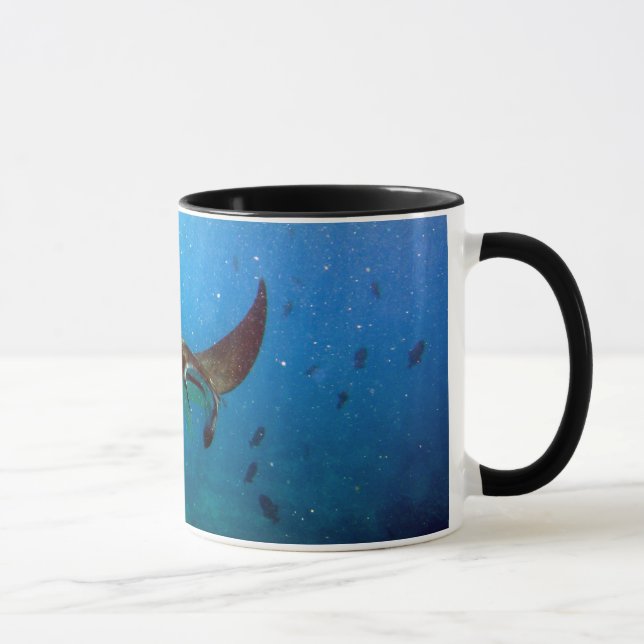 Caneca do raio de Manta de Havaí da baía de (Direita)