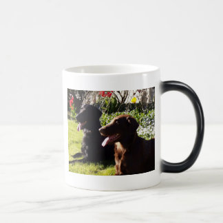 Caneca do Retriever de Flatcoated