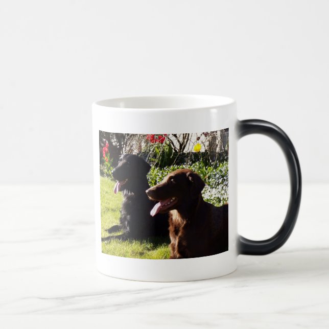 Caneca do Retriever de Flatcoated (Direita)