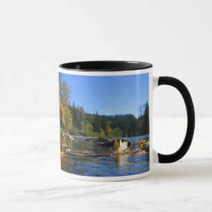 Caneca do rio de Snoqualmie