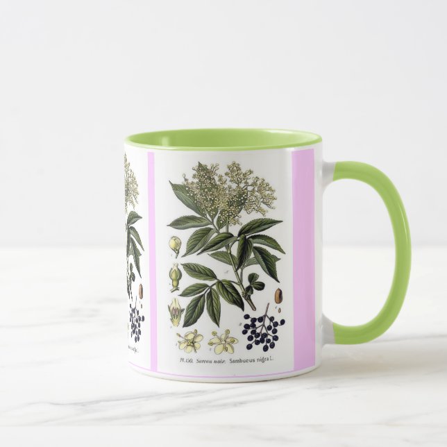 Caneca do Sambucus da baga de sabugueiro (Direita)