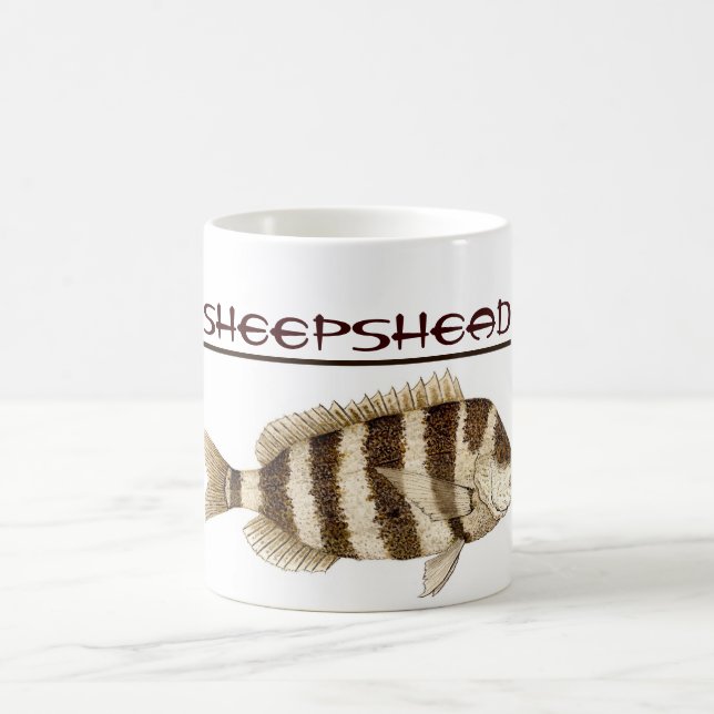 Caneca do Sheepshead (Centro)