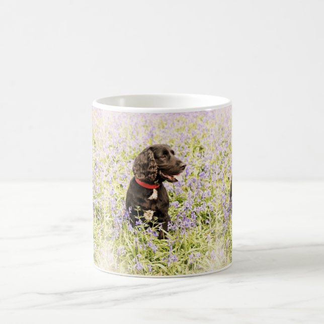 Caneca do Spaniel (Centro)