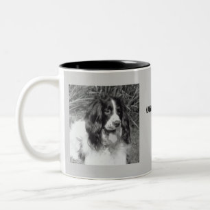 Caneca do Spaniel de Springer inglês