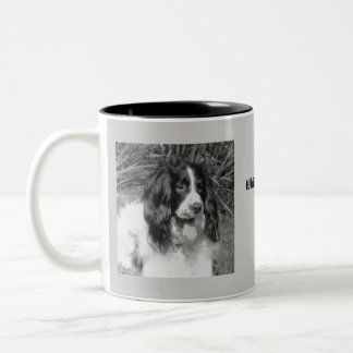 Caneca do Spaniel de Springer inglês