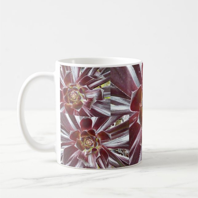 Caneca do succulent de Zwartkop do Aeonium (Esquerda)