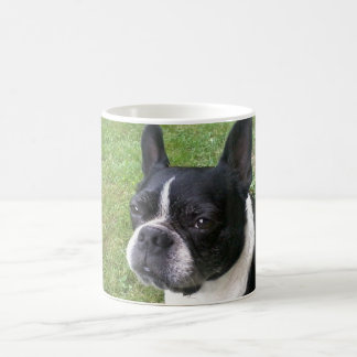 caneca do terrier de Boston