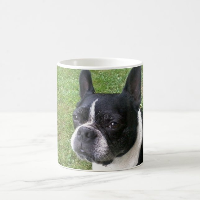 caneca do terrier de Boston (Centro)