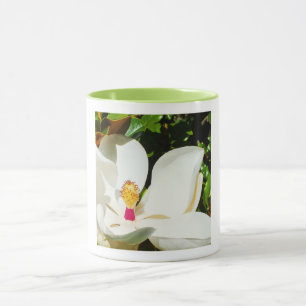 Caneca Doenças do