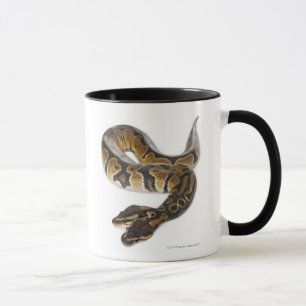 Caneca Dois dirigiram o pitão real ou o pitão da bola -