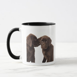 Caneca Dois filhotes de cachorro de labrador retriever do