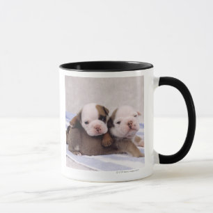 Caneca Dois filhotes de cachorro do buldogue na toalha