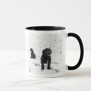 Caneca Dois filhotes de cachorro portugueses do cão de