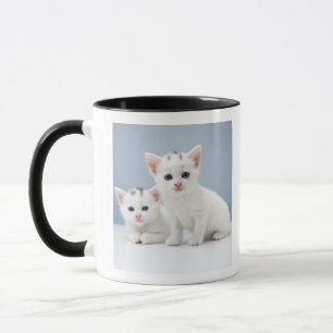 Caneca Dois gatinhos brancos muito novos olham fixamente