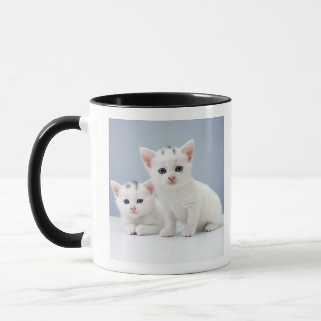 Caneca Dois gatinhos brancos muito novos olham fixamente (Esquerda)