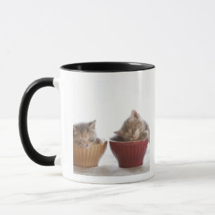 Caneca Dois gatinhos que dormem em umas bacias