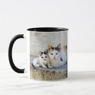 Caneca Dois gatos nas etapas de pedra