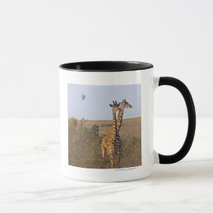 Caneca Dois girafas (camelopardalis) do Giraffa, Masai