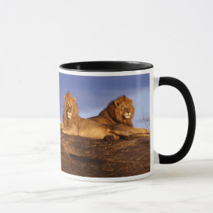 Caneca Dois leões machos e Lioness Mug para Leos