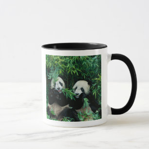 Caneca Dois pandas comendo bambu juntos, Wolong