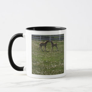 Caneca Dois potros no campo