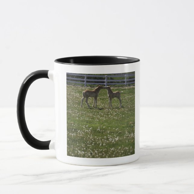 Caneca Dois potros no campo (Esquerda)